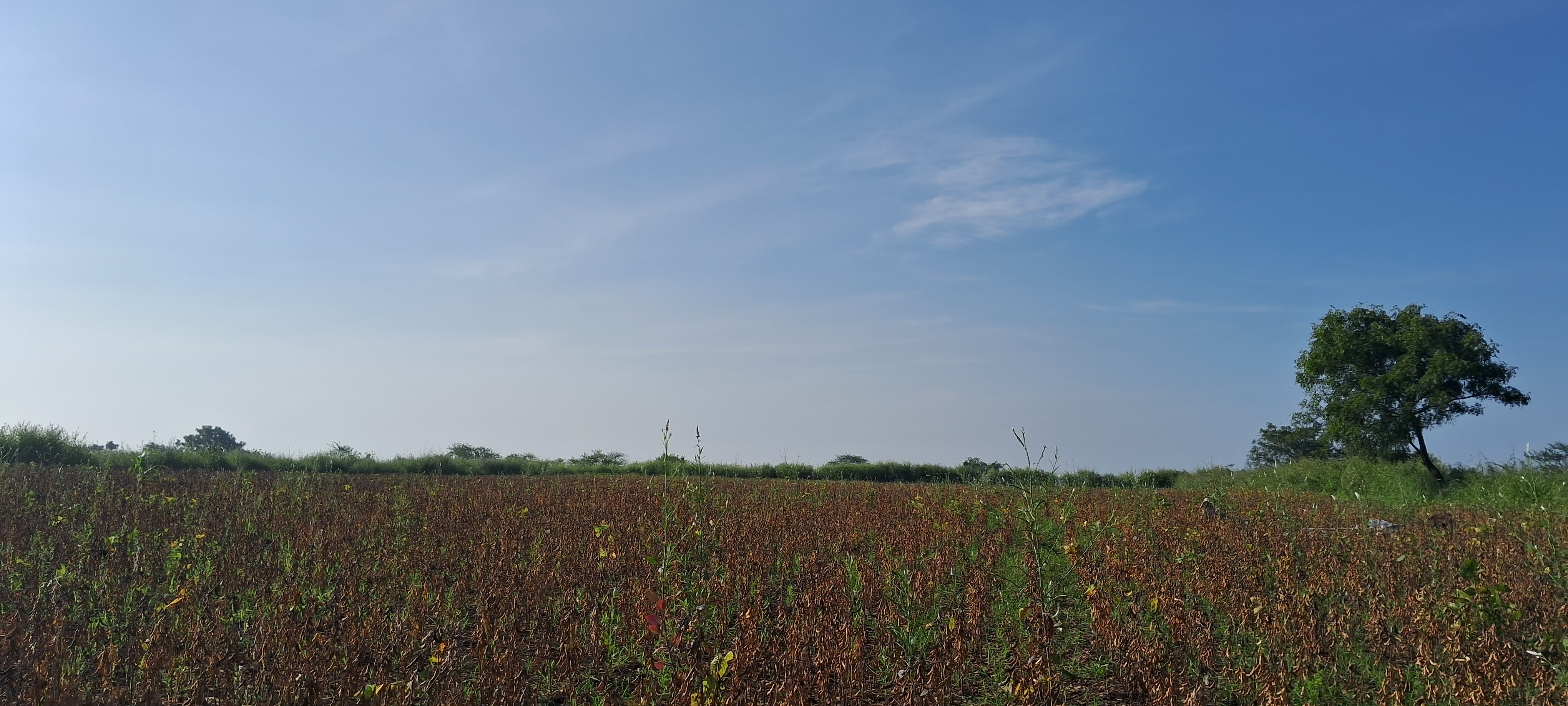 Agri MBA students exploring career opportunities in 2025
